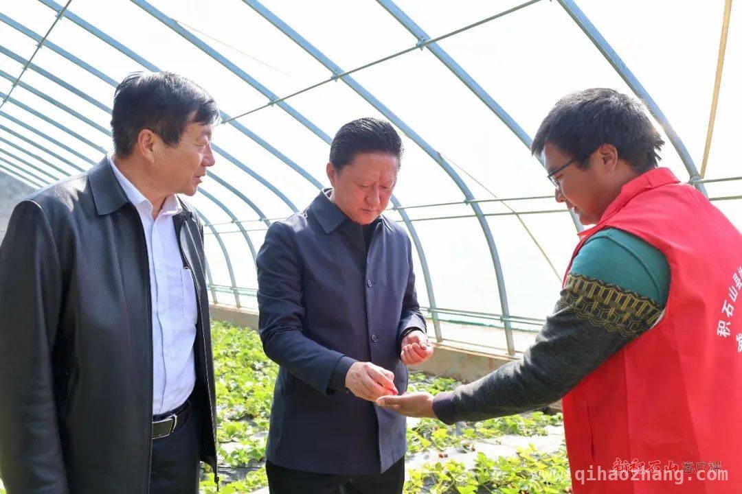 马晓璐实地调研乡镇，为教育、产业和灾后重建指明方向，3月24日州政协副主席、县委书记马晓璐调研多地重点工作