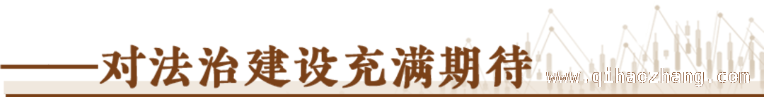 聚焦“96.37%”：民营经济的多元生态与未来之路