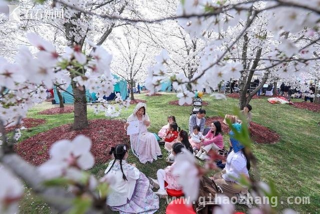 3月29日，一起赴2025上海市民文化节的精彩之约！ 多元活动共绽光芒，2025上海市民文化节3月29日激情开启