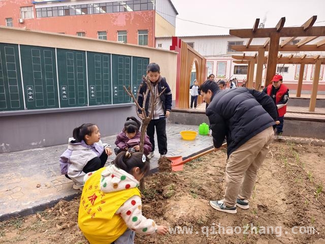 济源校园树木认领活动：学生增强环保意识共筑绿色梦，济源天坛实验小学：“认领一棵树”开启绿色环保之旅