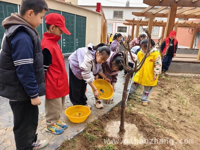 济源校园树木认领活动：学生增强环保意识共筑绿色梦，济源天坛实验小学：“认领一棵树”开启绿色环保之旅