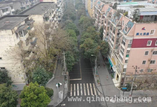 人文与产业融合，玉林东路老街区活力迸发 玉林东路改造：打造城市幸福生活新样板