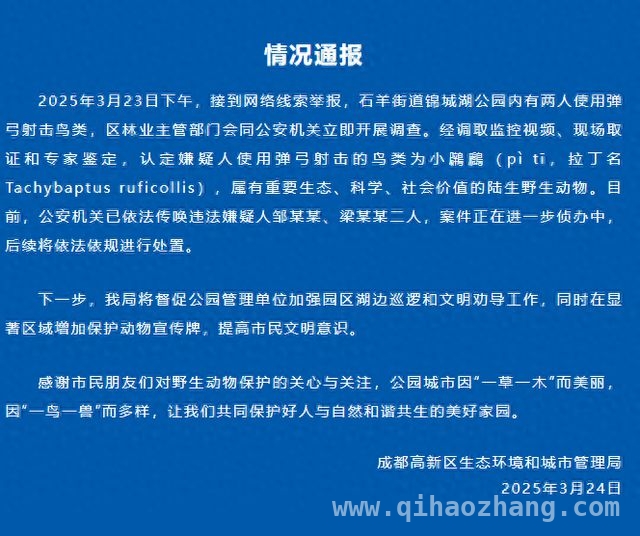锦城湖弹弓射鸟事件：保护野生动物刻不容缓！ 成都高新区处置弹弓射鸟案，后续举措保障生态！