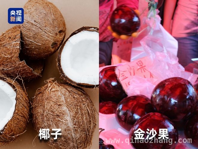 别再交“水果智商税”，真相大曝光！，警惕！这些高价水果竟是“伪装者”