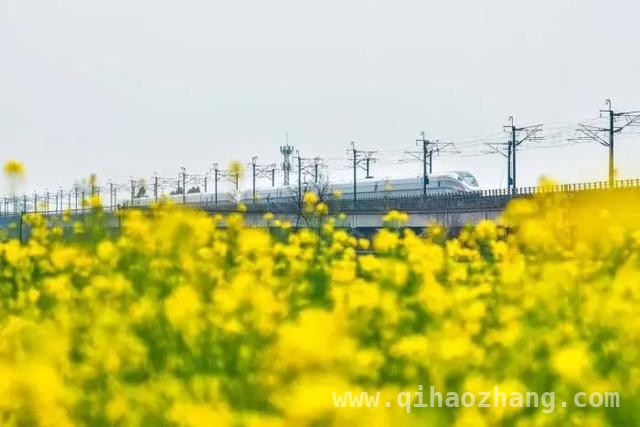 清明假期铁路热门线路与余票情况全解析，清明假期铁路运输大揭秘，购票攻略速看！