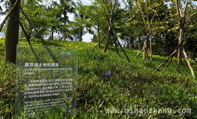 博鳌近零碳示范区成功跨越至零碳，引领绿色新潮流，见证奇迹！博鳌近零碳到零碳的精彩蜕变