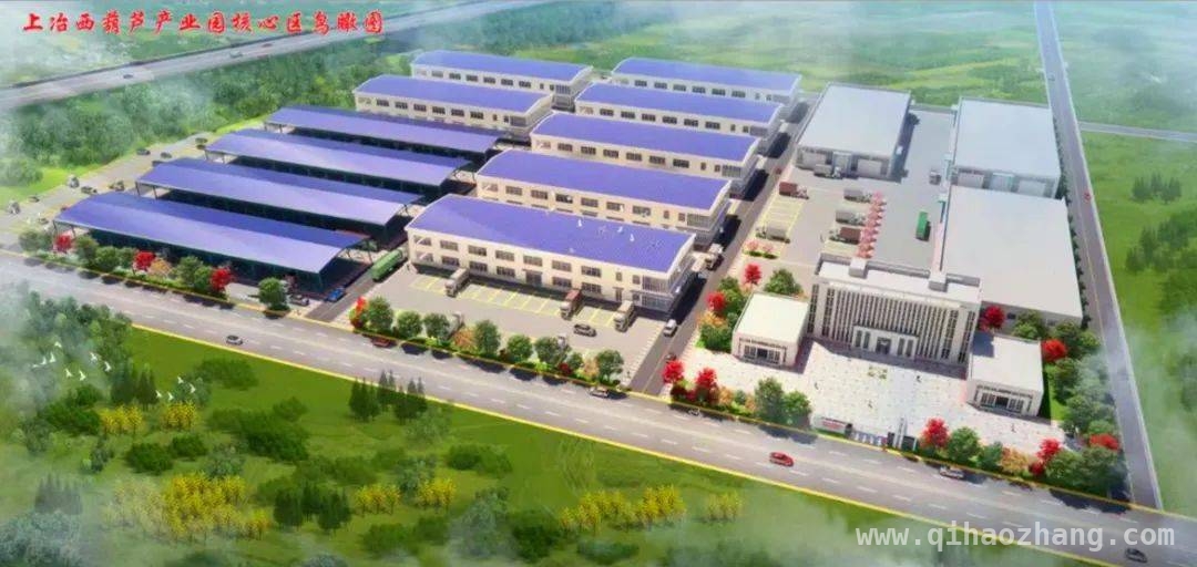 费县新社会阶层：紧跟趋势展作为，携手共筑美好未来，费县新社会阶层人士活动精彩纷呈，共绘发展新蓝图