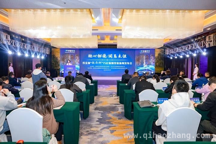 15亿保额护航！织金洞“银雨树”见证自然与金融的融合奇迹 贵州织金洞“银雨树”获15亿保险，开启自然遗产保护新篇