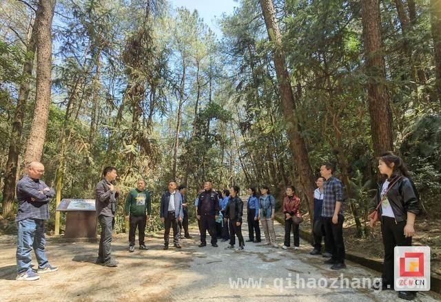 “爱鸟周”来临，自贡多部门联动守护鸟儿自由，自贡“清风行动2025”与春季护鸟专项行动拉开帷幕