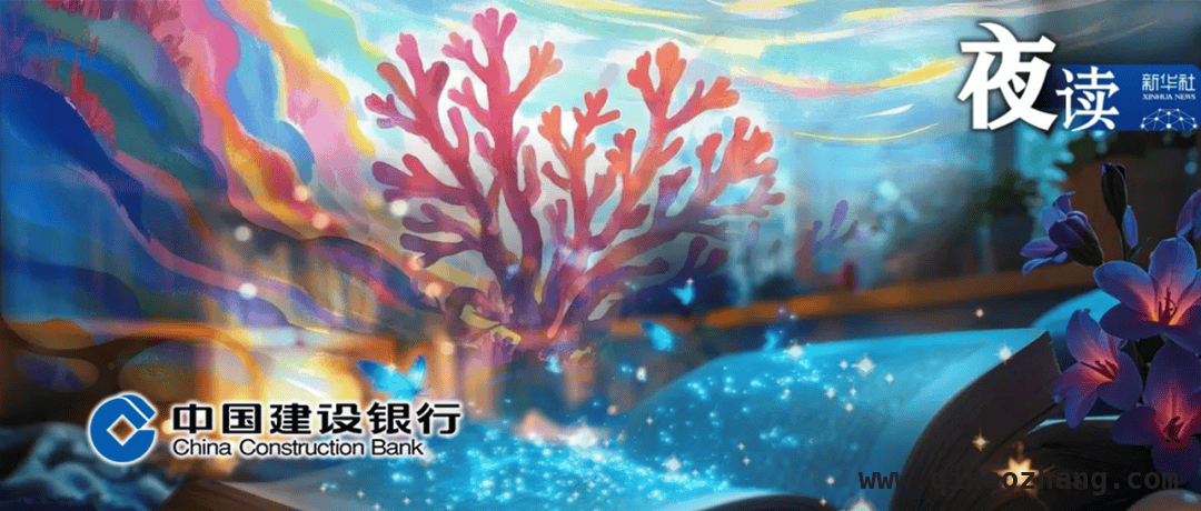 放下抱怨，与生活温柔和解