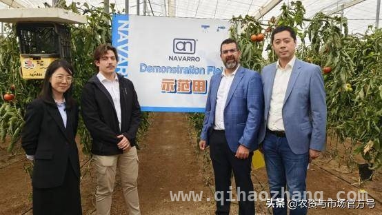 走进西班牙农业，中植与NAVARRO共探高效种植之路，中植与西班牙NAVARRO：从实验室到田间的农业合作传奇