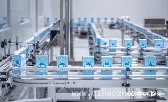 蜜雪集团2024年业绩大揭秘：门店扩张与供应链升级并进