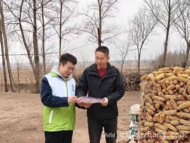 中储粮沈阳直属库走进乡村，架起惠农政策连心桥 “青穗”志愿送政策，沈阳春耕备耕添活力