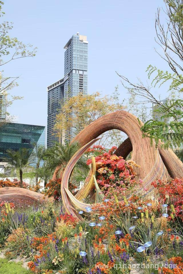 2025粤港澳大湾区花园大赛：开启园艺与科技的梦幻之约，走进大湾区花园大赛：一站式邂逅春日特色体验