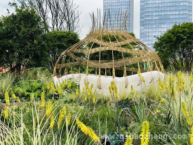 2025粤港澳大湾区花园大赛：开启园艺与科技的梦幻之约，走进大湾区花园大赛：一站式邂逅春日特色体验