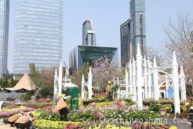 2025粤港澳大湾区花园大赛：开启园艺与科技的梦幻之约，走进大湾区花园大赛：一站式邂逅春日特色体验