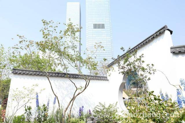 2025粤港澳大湾区花园大赛：开启园艺与科技的梦幻之约，走进大湾区花园大赛：一站式邂逅春日特色体验
