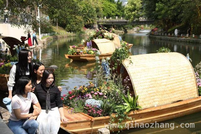 2025粤港澳大湾区花园大赛：开启园艺与科技的梦幻之约，走进大湾区花园大赛：一站式邂逅春日特色体验