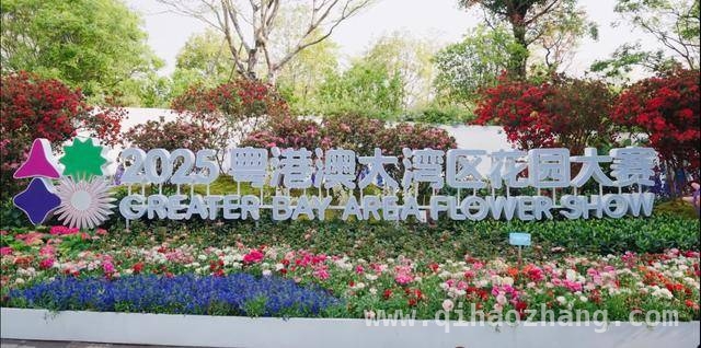 2025粤港澳大湾区花园大赛：开启园艺与科技的梦幻之约，走进大湾区花园大赛：一站式邂逅春日特色体验