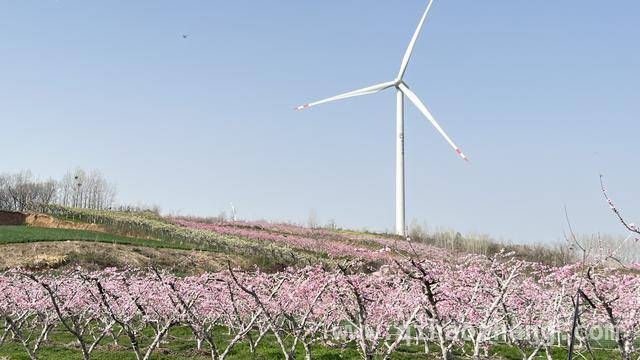 叶县1号公路：从深山僻壤到致富通途的华丽转身
