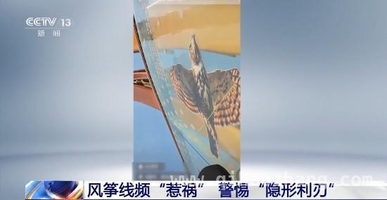 春季放风筝热潮背后：危险频发，如何保障安全？，风筝虽好，安全勿忘！近期多地风筝伤人事件敲响警钟