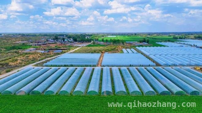 孟家湾乡2025年发力，以特色产业驱动乡村全面振兴