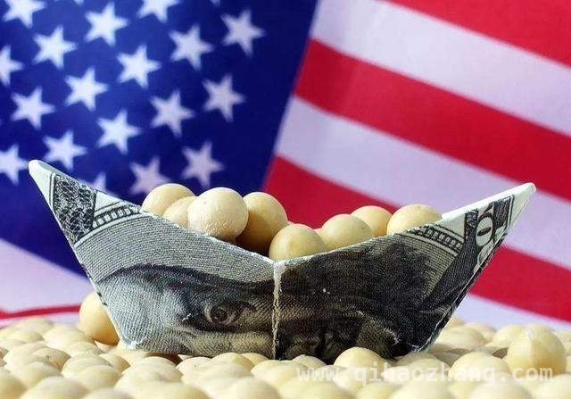 特朗普关税大棒：美国自食恶果？，美国关税闹剧：农民苦不堪言，经济何去何从？