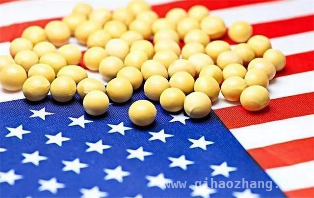 特朗普关税大棒：美国自食恶果？，美国关税闹剧：农民苦不堪言，经济何去何从？