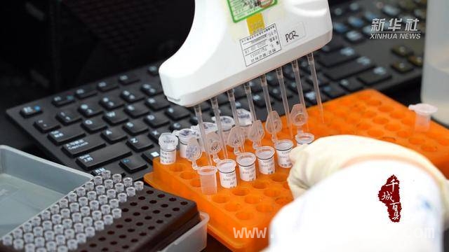 从区位优势到产业优势，固安县生物医药产业腾飞之路