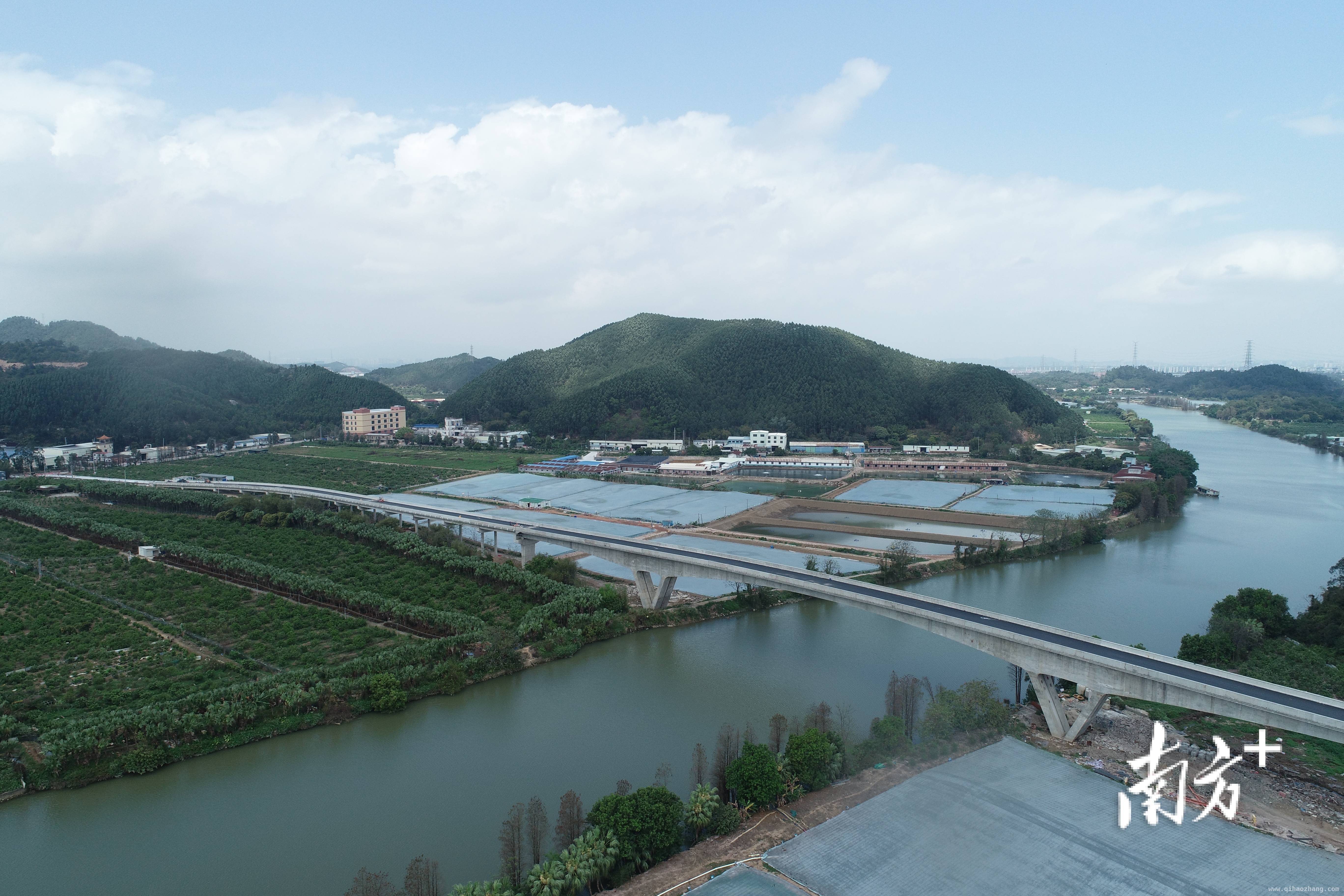 新马单大桥通车：打通乡村发展新通道 历时三年，新马单大桥建成试通车开启乡村新篇