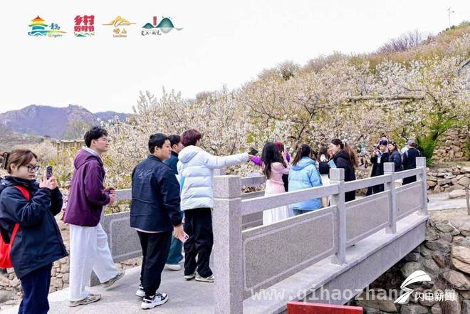 首届青岛赏花节：多元活动打造春日经济新引擎，春日盛事！首届青岛赏花节开启浪漫之旅