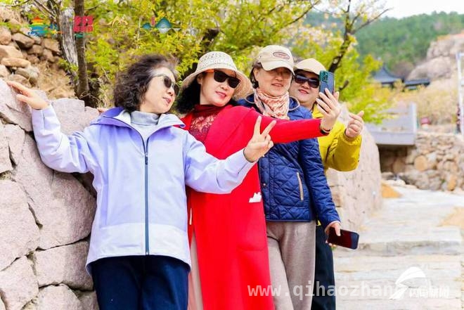 首届青岛赏花节：多元活动打造春日经济新引擎，春日盛事！首届青岛赏花节开启浪漫之旅