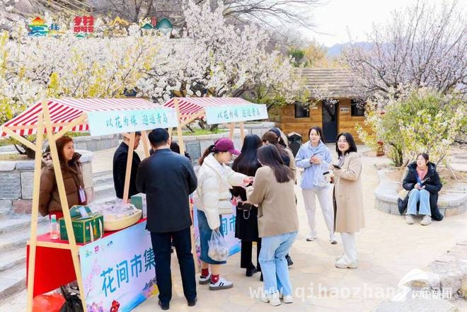 首届青岛赏花节：多元活动打造春日经济新引擎，春日盛事！首届青岛赏花节开启浪漫之旅