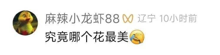 3月28日晚辽沈大地春雪突袭，评论区诗意满满，春雪飘落辽沈，“雪花”“桃花”碰撞出浪漫火花