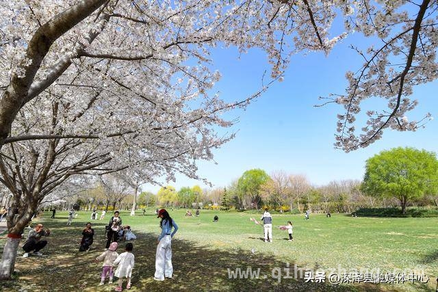 京津冀春日经济“花式解锁”，多元旅游体验等你来，解锁京津冀春日经济密码，感受不一样的旅游体验