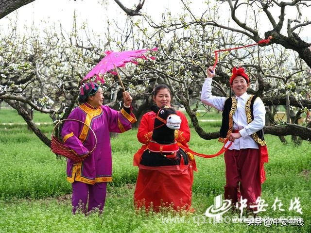 五河沟东村第十二届梨花节来袭，游客纷至沓来 安徽五河沟东村梨花节开幕，打造春日文旅盛宴