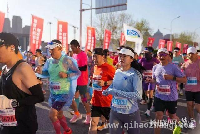 2025石家庄马拉松：贴心服务与精彩赛程齐飞
