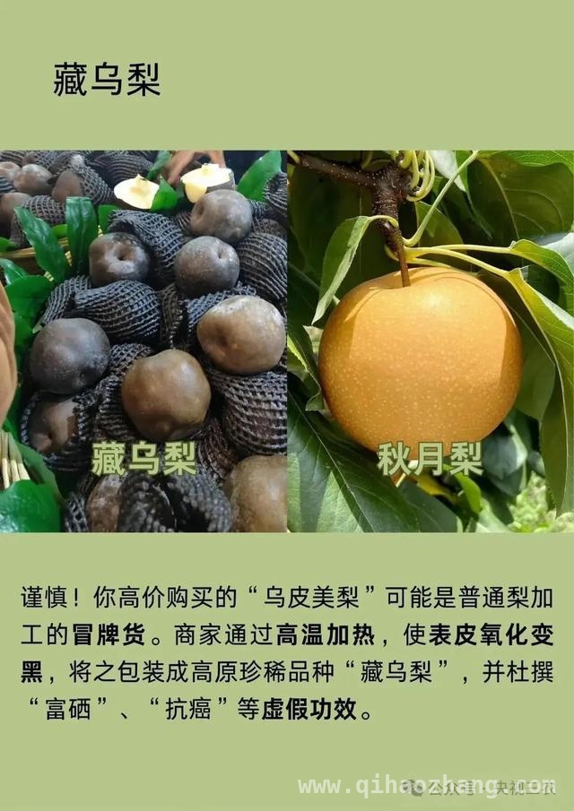 揭秘水果界的“忽悠陷阱”，你踩过雷吗？