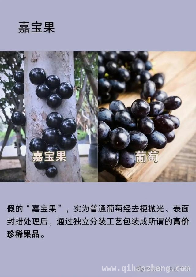 揭秘水果界的“忽悠陷阱”，你踩过雷吗？