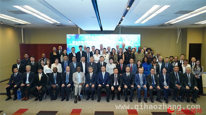 第四届数贸会南非推介会：搭建中南经贸合作新桥梁，数贸会南非推介会：助力中南数字经济合作迈向新高度