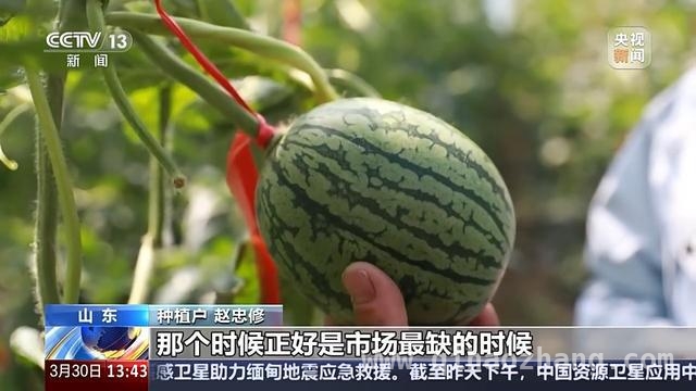 “两新”政策下设施农业焕新，多地改造成效显著