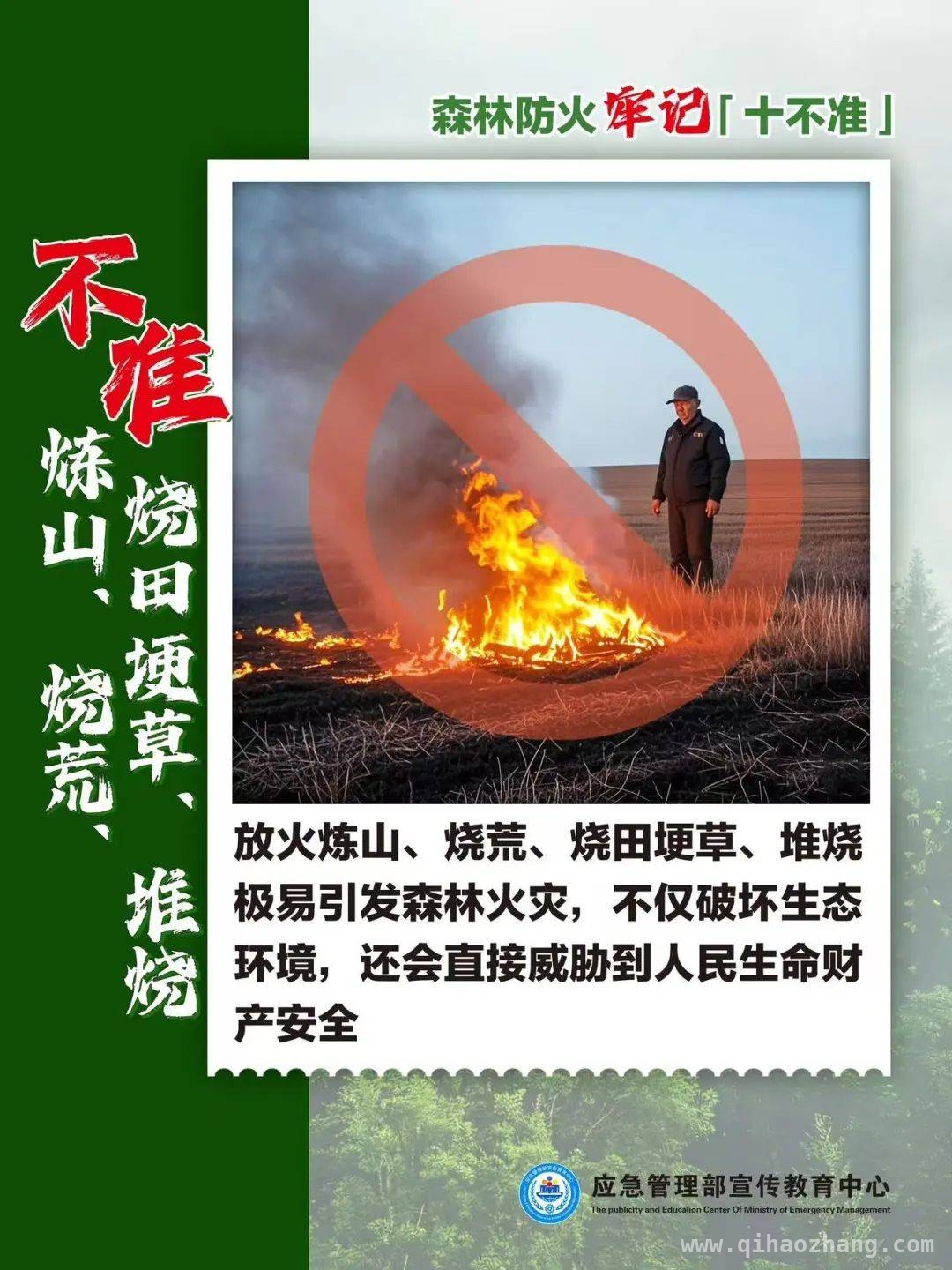 杜绝人为火灾，守护绿色森林家园，森林火灾：人为祸端与应对之策