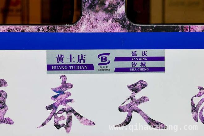 S2线“长城号”涂装大修，春日观花客流预计创新高！，“开往春天的列车”S2线增开车次，赏花游热度升级！