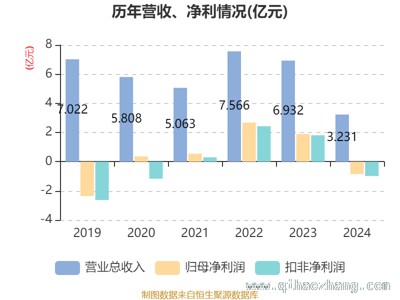 聚焦永安林业：财务指标背后的隐忧与机遇 永安林业2024年财务状况深度剖析