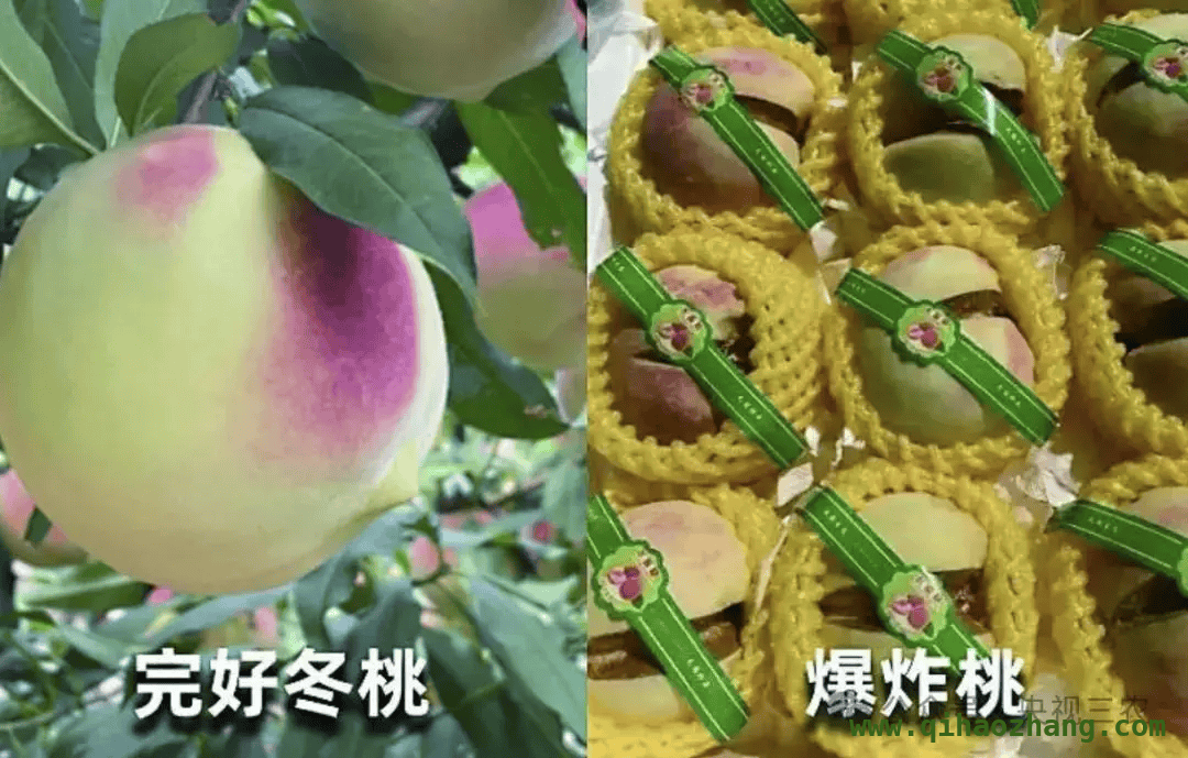 水果新名字背后的真相，你知道吗？，警惕！这些“网红水果”可能是骗局