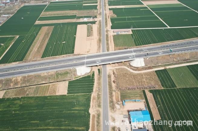 从甘蓝到花卉：道路打通乡村致富新通道