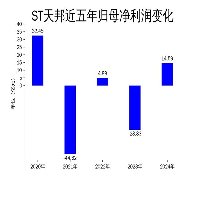 ST天邦2024：净利润逆袭，产能与市场挑战重重，ST天邦2024年财报：盈利逆袭背后藏隐忧
