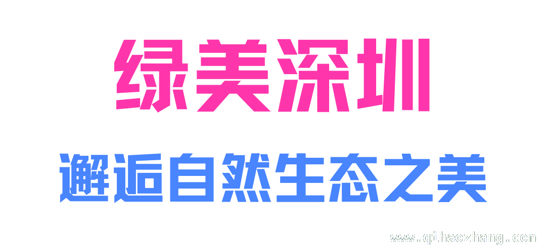 深圳五一文旅全攻略，一场多巴胺爆棚的假期之旅