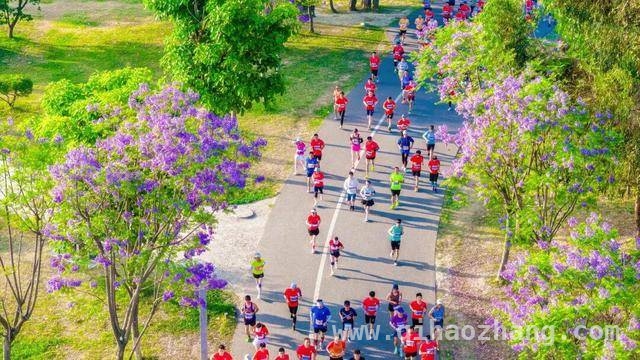 云南体育赛事“三进”活动：点燃文体旅融合新热潮