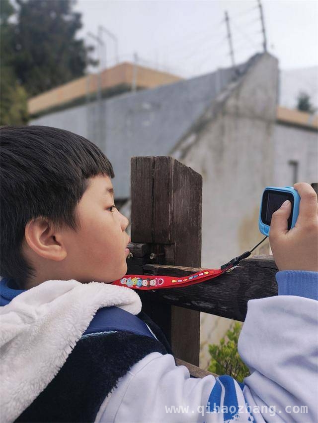 春日与“秦岭四宝”之约：西安小学生开启生态探索之旅，西安小学生“秦岭四宝科普游”：沉浸式感受生命奇迹
